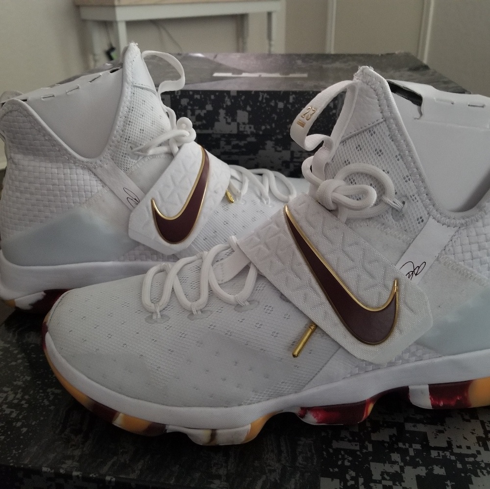 Lebron XIV